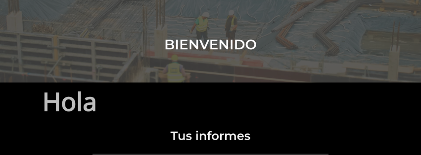 Ejemplo de portal de informes con informe generado