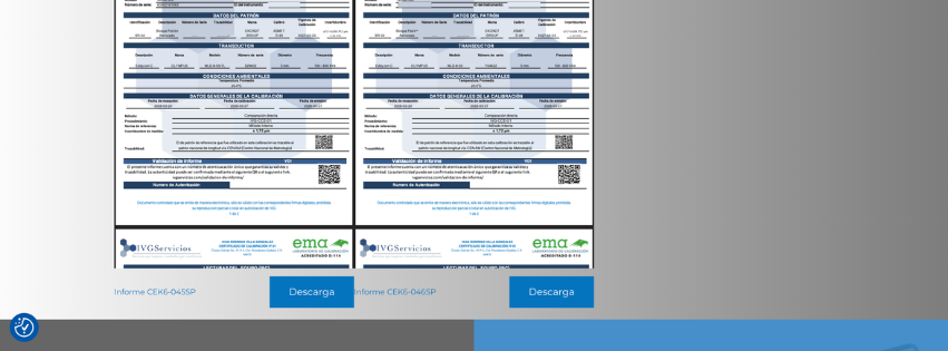 Ejemplo de informe en formato PDF